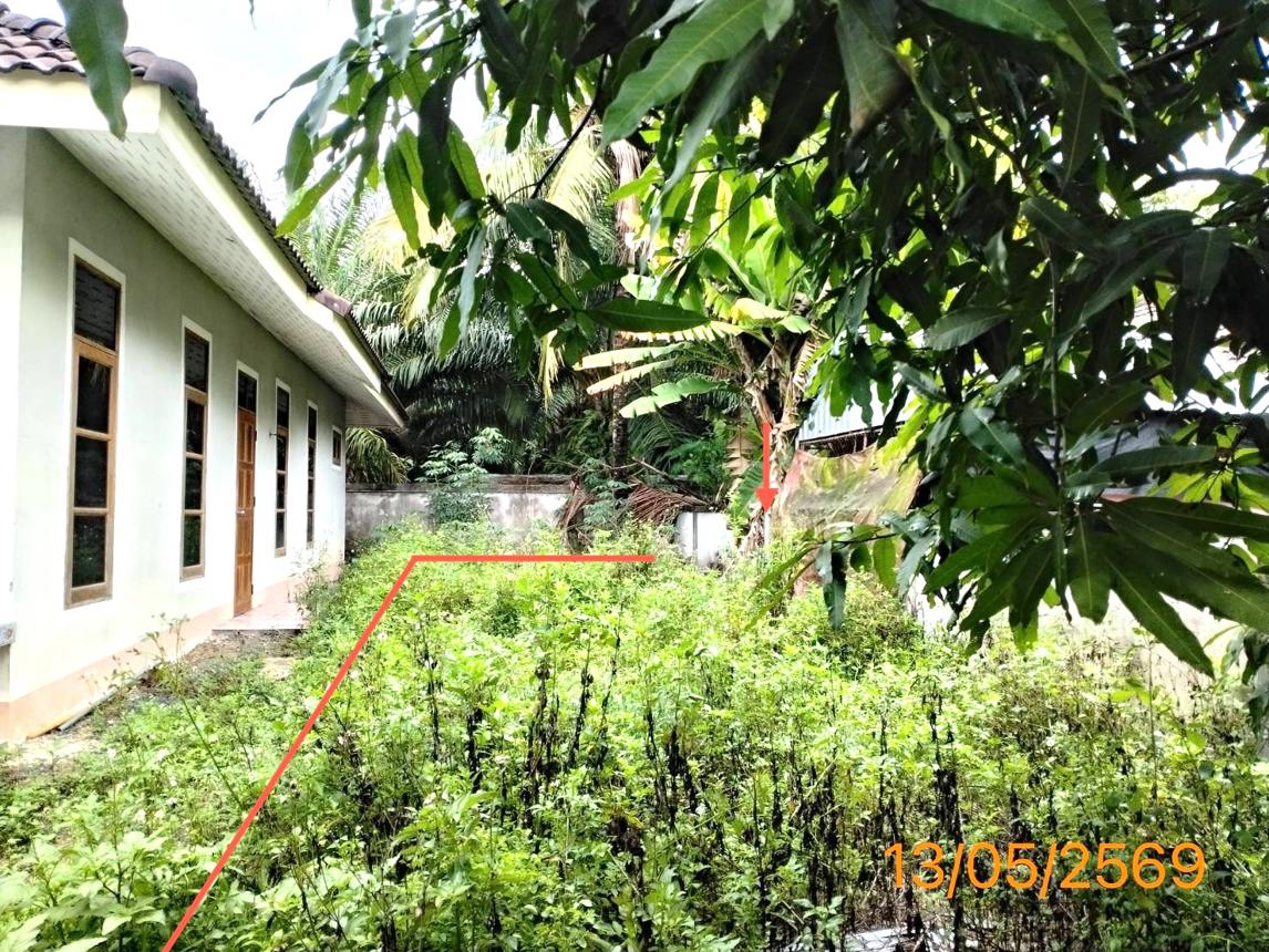 รูป ที่ดินว่างเปล่า 44.9 ตร.วา เหนือคลอง กระบี่ 273,000 - รูปที่ 7/11