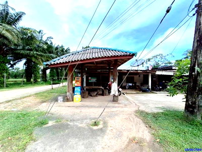 บ้านเดี่ยว ตรัง : บ้านเดี่ยว 42 ตร.วา วังวิเศษ ตรัง 739,000
