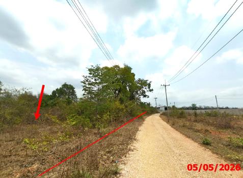 picture LAND 920 Sq.w. Mae Tha Lamphang for 1.3M - 18/21