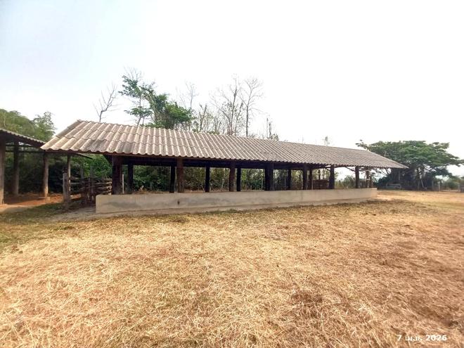 picture HOME 4691 Sq.w. Ngao Lamphang for 7M - 9/55