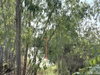 listing thumbnail image 10