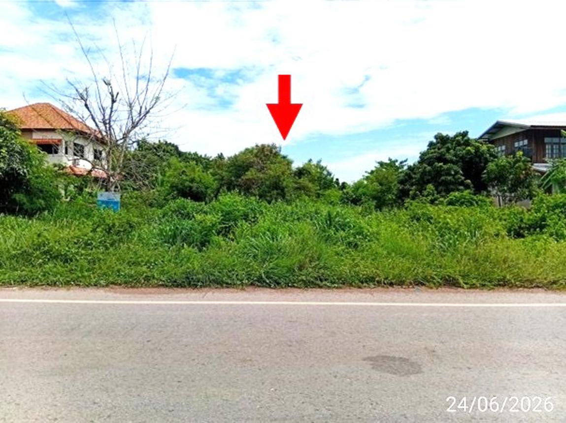 รูป ที่ดินว่างเปล่า 801 ตร.วา ศรีบุญเรือง หนองบัวลำภู 1.6M - รูปที่ 10/21