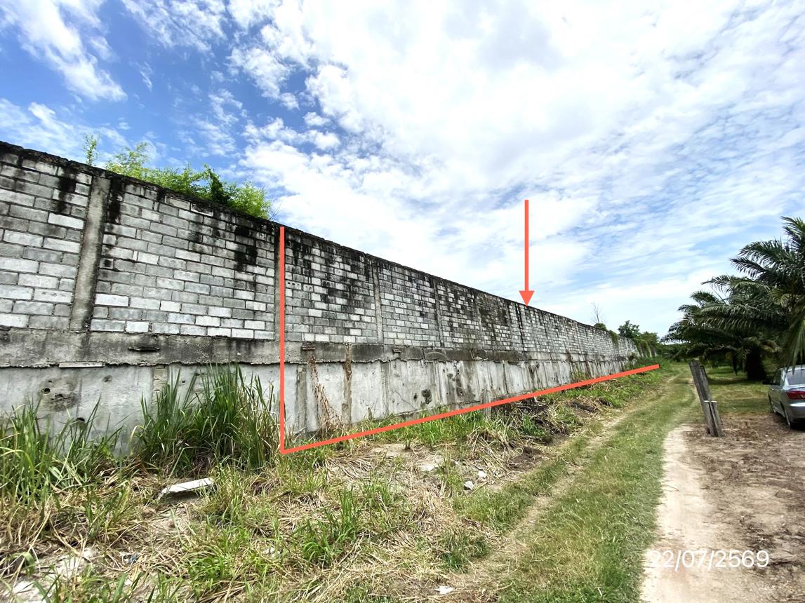 รูป ที่ดินว่างเปล่า 1016.8 ตร.วา บ้านบึง ชลบุรี 13.6M - รูปที่ 10/21