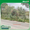 listing thumbnail image 14