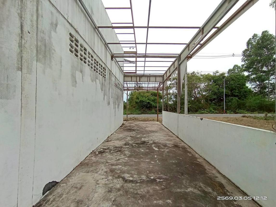รูป โกดัง 553 ตร.วา นามน กาฬสินธุ์ 928,000 - รูปที่ 19/33