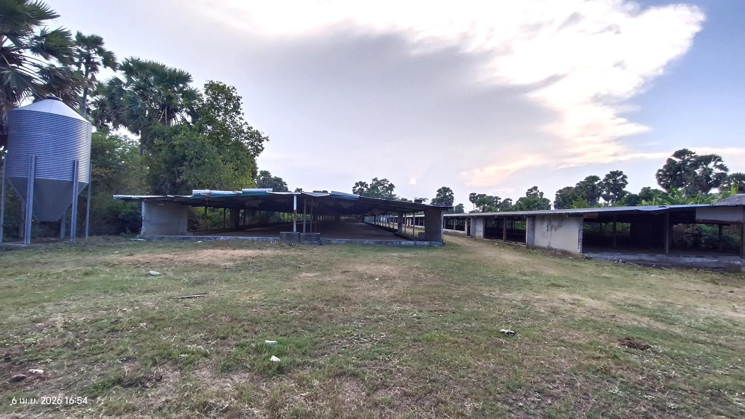 รูป ฟาร์ม 3464 ตร.วา สทิงพระ สงขลา 6.9M - รูปที่ 27/41