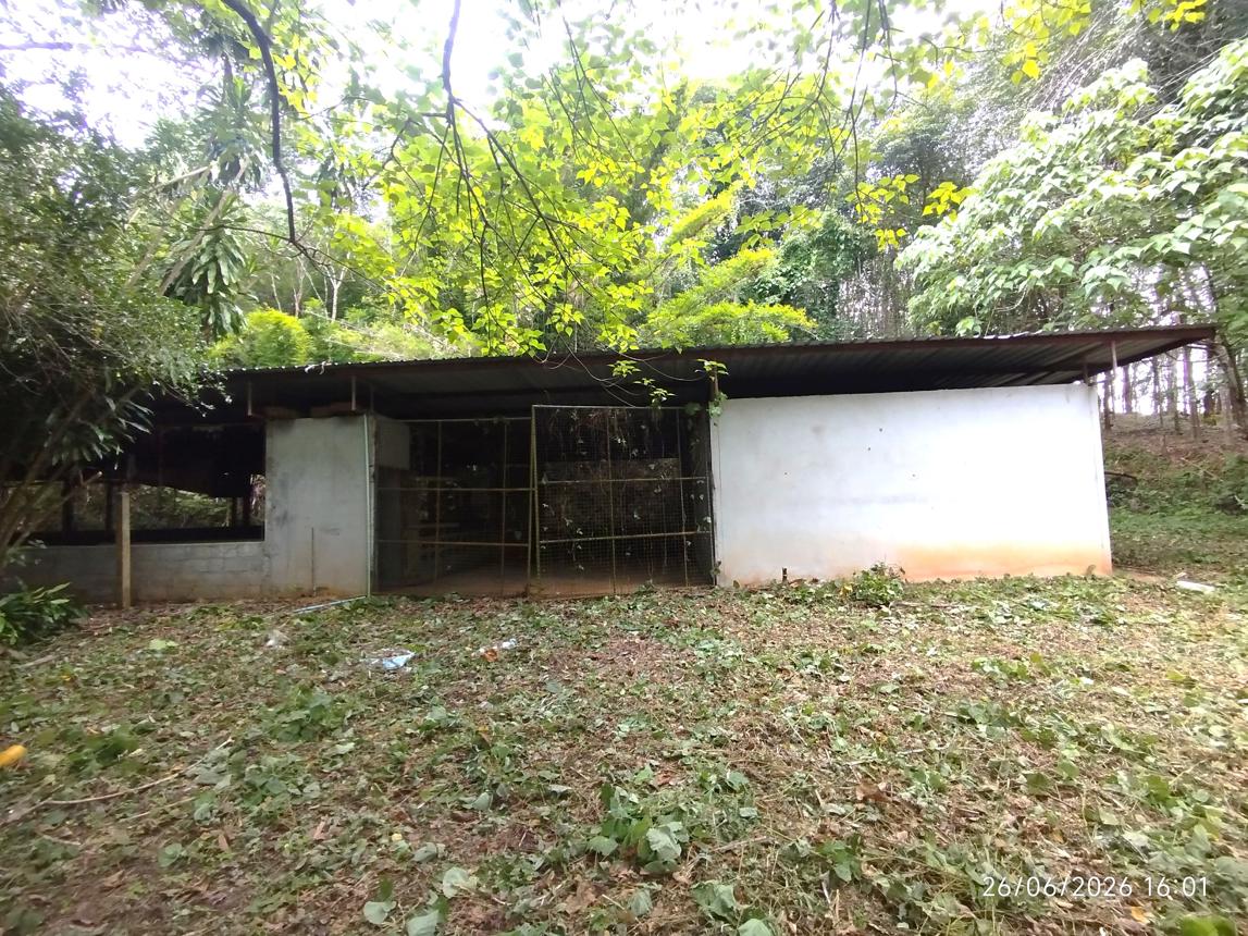 รูป บ้านเดี่ยว 4455.3 ตร.วา ตะกั่วทุ่ง พังงา 4.4M - รูปที่ 24/37