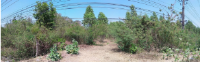 picture PROPERTY 21178 Sq.w. Watthana Nakhon Srakaeo for 81.5M - 8/20