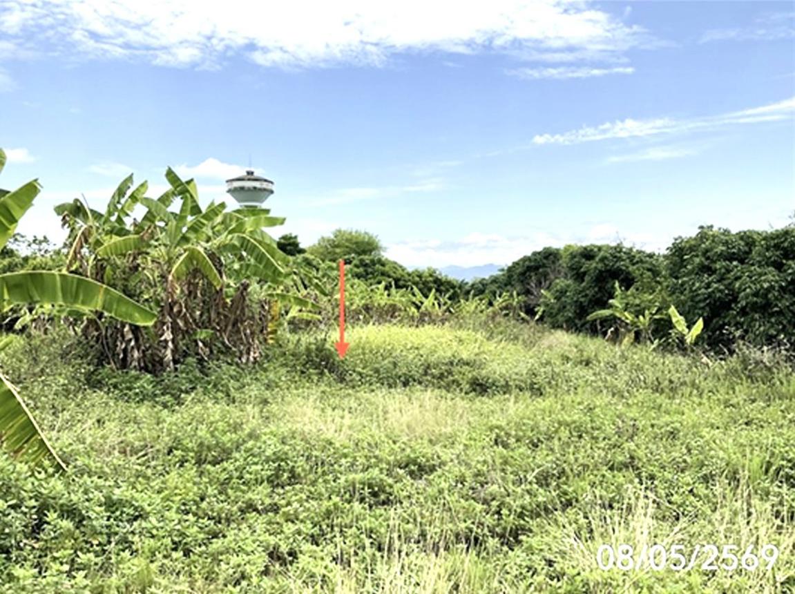 รูป ที่ดินว่างเปล่า 293.3 ตร.วา ขุนตาล เชียงราย 2.3M - รูปที่ 11/15