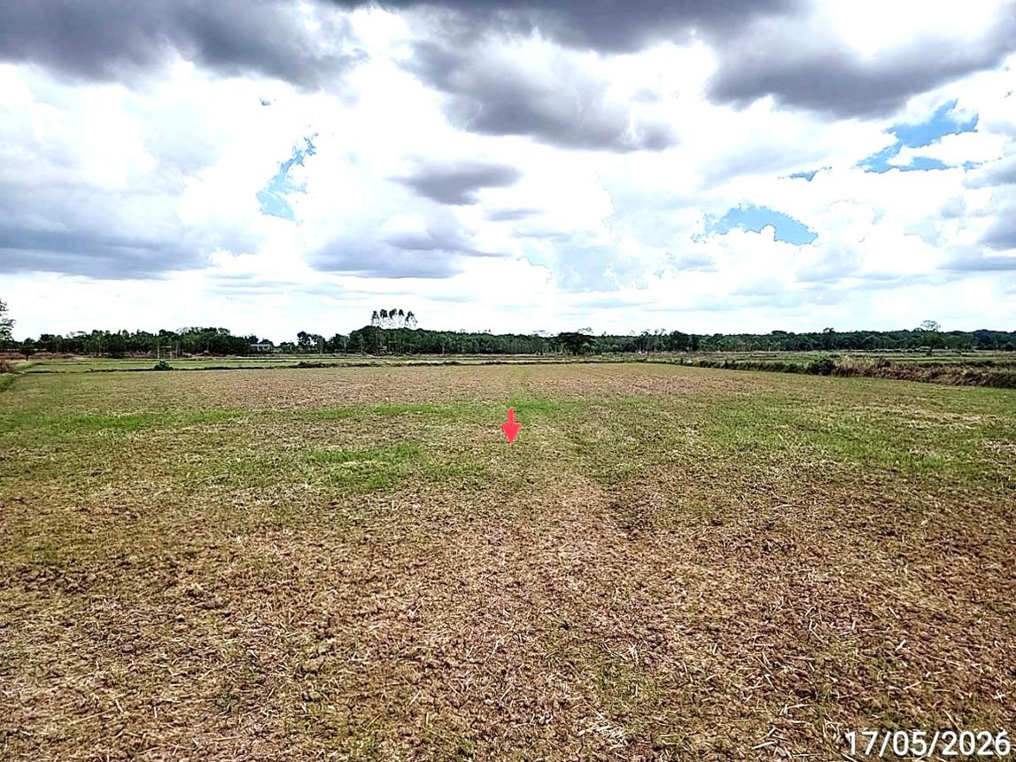picture LAND 1522.1 Sq.w. Kosum Phisai Maha Sarakham for 419,000 - 20/25