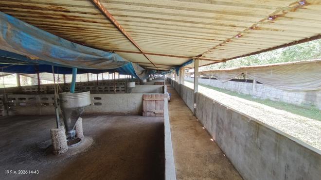 รูป ฟาร์ม 1603 ตร.วา เมืองพัทลุง พัทลุง 5.7M - รูปที่ 15/43