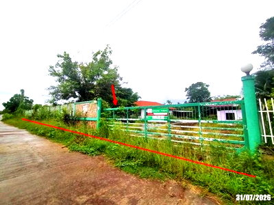 บ้านเดี่ยว ท่าลี่ เลย : บ้านเดี่ยว 475.2 ตร.วา ท่าลี่ เลย 2.9M