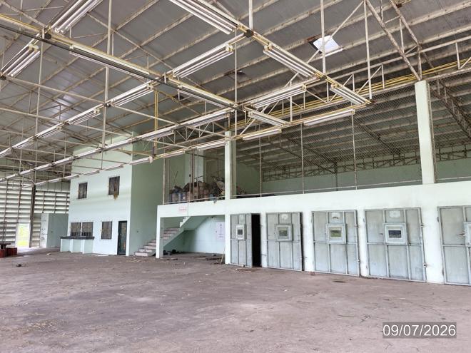 รูป อาคารโรงงาน 1512 ตร.วา สามเงา ตาก 5.5M - รูปที่ 7/29