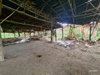 listing thumbnail image 37