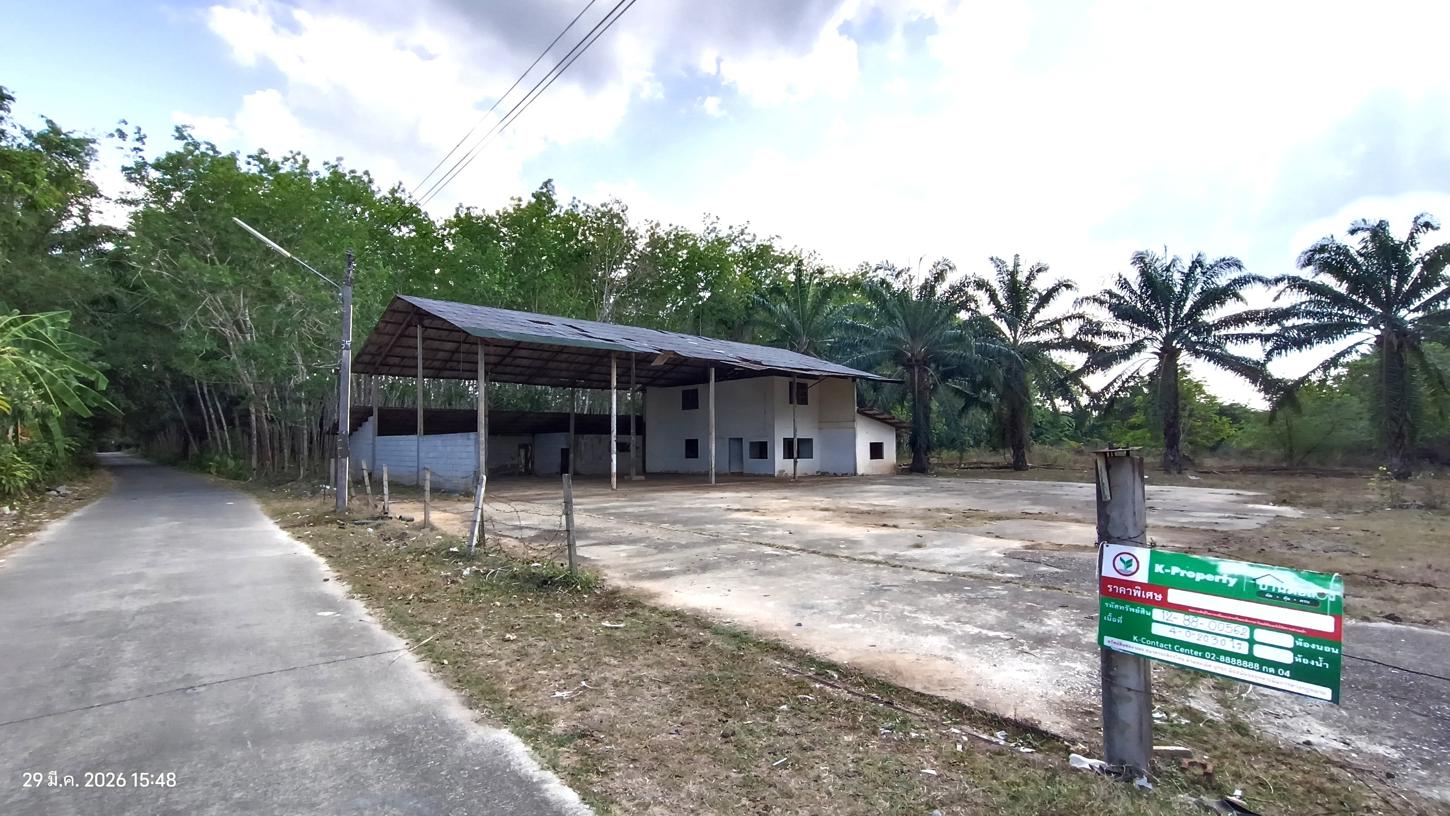 picture FACTORY 1620.3 Sq.w. Huai Yot Trang for 4.8M - 17/35