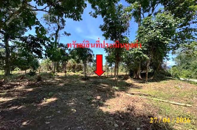 รูป ที่ดินว่างเปล่า 440 ตร.วา ศรีสาคร นราธิวาส 660,000 - รูปที่ 5/15