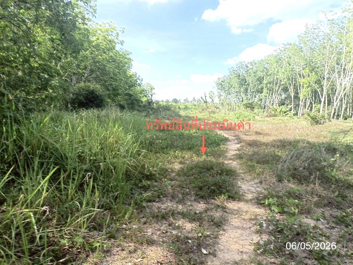 รูป ที่ดินว่างเปล่า 3226.4 ตร.วา ห้วยยอด ตรัง 2.4M - รูปที่ 15/19