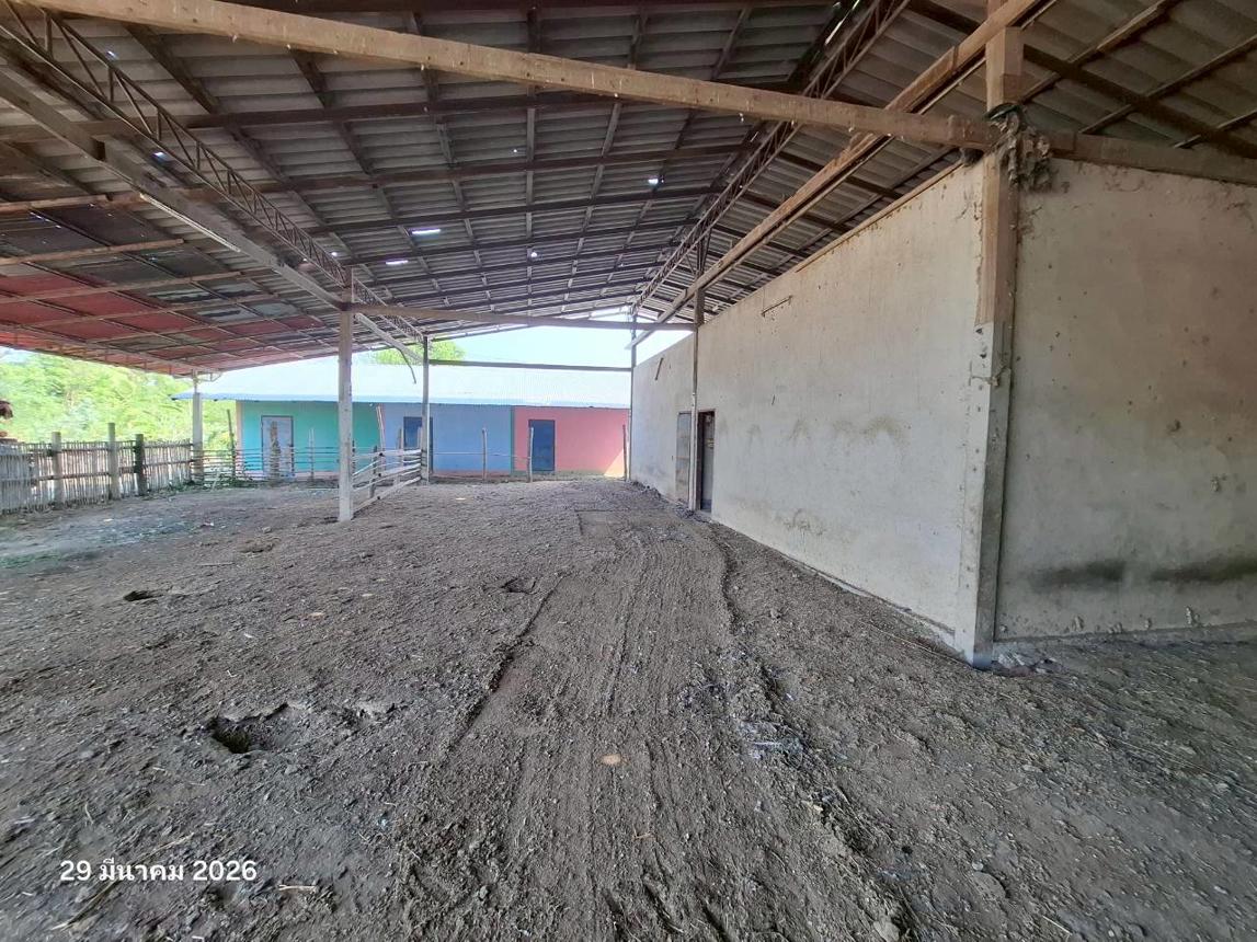 รูป บ้านเดี่ยว 6918 ตร.วา บึงสามัคคี กำแพงเพชร 11.1M - รูปที่ 86/107