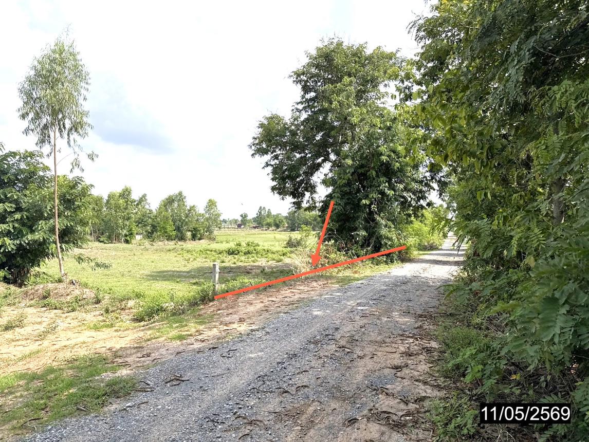 picture LAND 2621.3 Sq.w. Phon Khon Kaen for 1.2M - 10/17