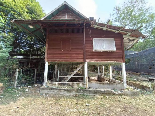 รูป ฟาร์ม 6600 ตร.วา เมืองปราจีนบุรี ปราจีนบุรี 8.8M - รูปที่ 32/89