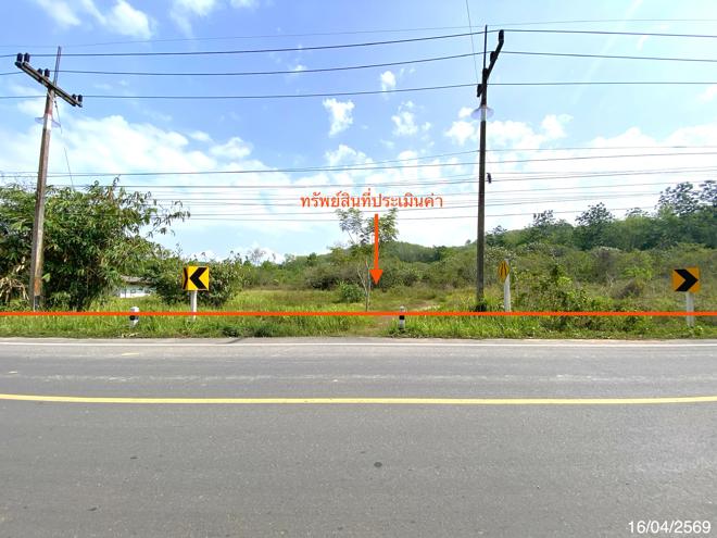 picture LAND 5417 Sq.w. Na Thawi Songkhla for 4.1M - 1/15