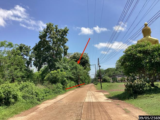 รูป ที่ดินว่างเปล่า 1815 ตร.วา กุสุมาลย์ สกลนคร 1.8M - รูปที่ 9/21