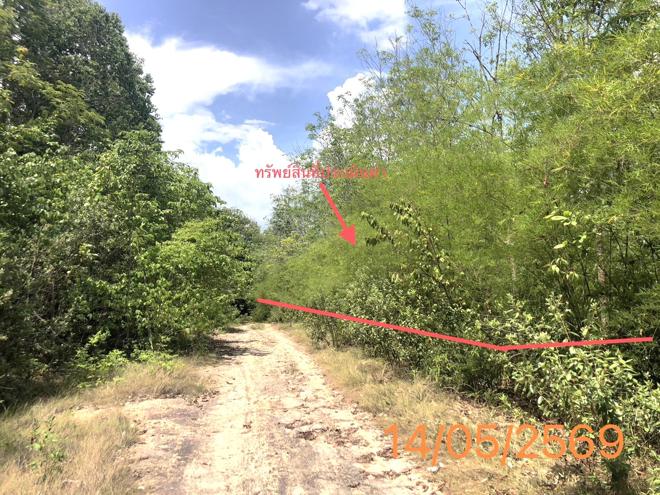 รูป ที่ดินว่างเปล่า 4370 ตร.วา คลองท่อม กระบี่ 35.8M - รูปที่ 5/21