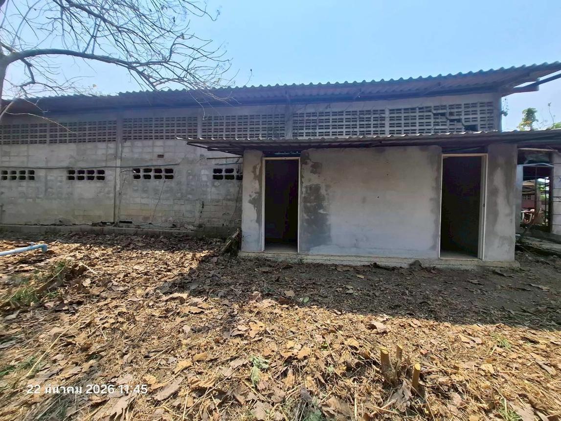 รูป ฟาร์ม 848.1 ตร.วา ศรีสำโรง สุโขทัย 2.2M - รูปที่ 19/31