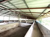 listing thumbnail image 12