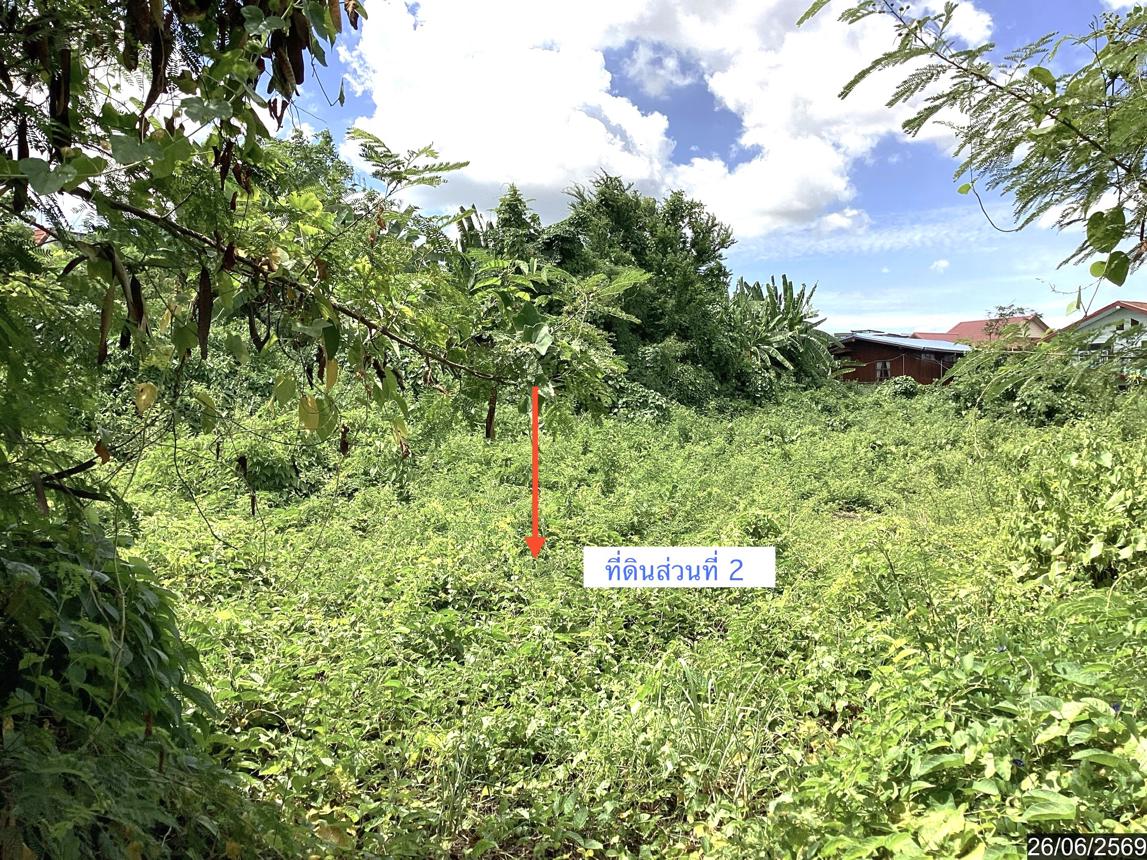 picture LAND 499.3 Sq.w. Muang Sakon Nakhon Sakon Nakhon for 31.7M - 10/17