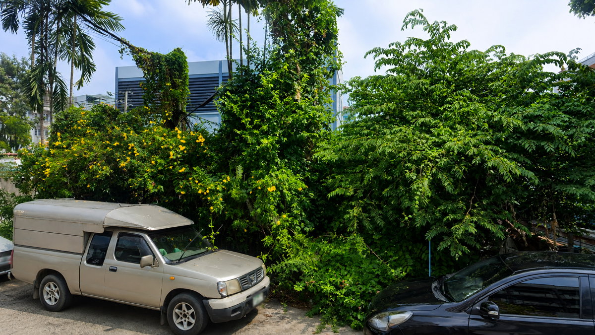 รูป ขาย ที่ดิน สาธุประดิษฐ์ 49 ขนาด 128 ตรว ใกล้ถ.ยานนาวาแค่ 450 ม. - รูปที่ 4/4