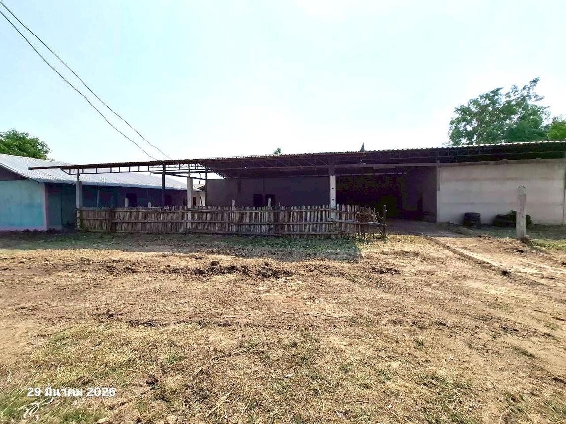 รูป บ้านเดี่ยว 6918 ตร.วา บึงสามัคคี กำแพงเพชร 11.1M - รูปที่ 85/107