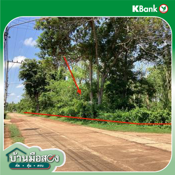 รูป ที่ดินว่างเปล่า 1815 ตร.วา กุสุมาลย์ สกลนคร 1.8M - รูปที่ 19/21