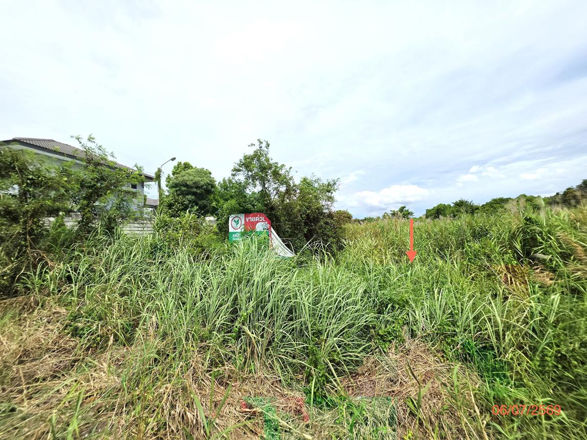 picture LAND 1134.9 Sq.w. Muang Nonthaburi Nonthaburi for 17.5M - 11/15
