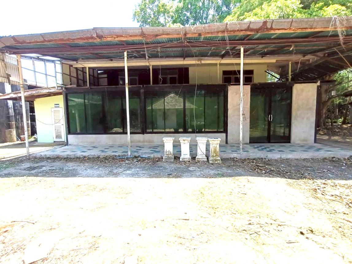 รูป ฟาร์ม 6600 ตร.วา เมืองปราจีนบุรี ปราจีนบุรี 8.8M - รูปที่ 77/89