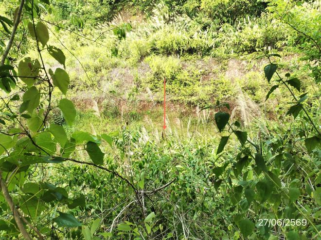 รูป ที่ดินว่างเปล่า 2402 ตร.วา ภูซาง พะเยา 730,000 - รูปที่ 6/21