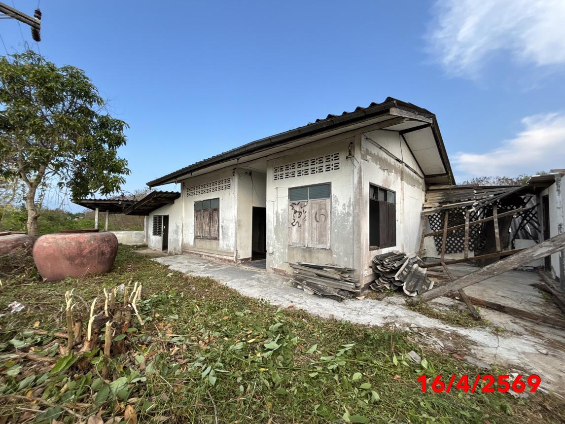 picture HOME 4945 Sq.w. Kanchanadit Surat Thani for 2.3M - 24/47