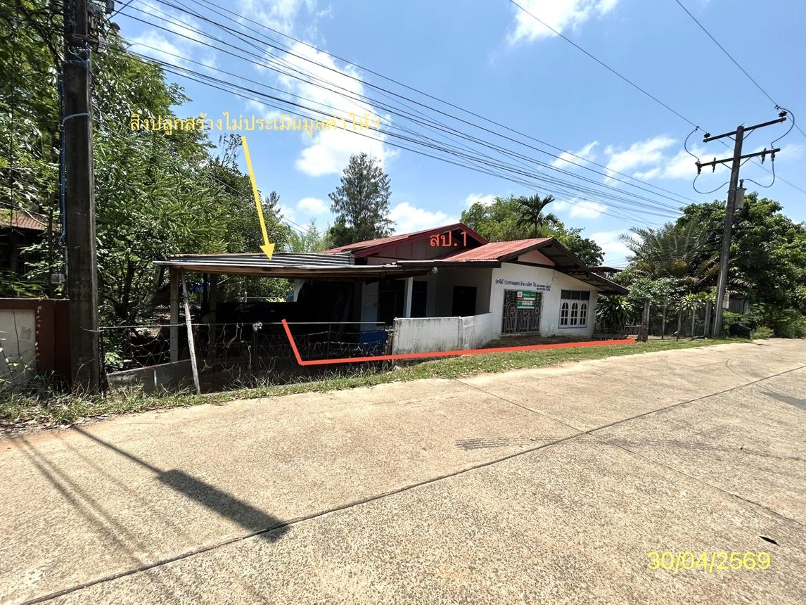 รูป บ้านเดี่ยว 38 ตร.วา เมืองยโสธร ยโสธร 527,000 - รูปที่ 12/25