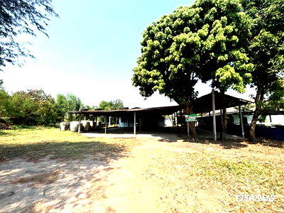 Houses for sale Nakhon Ratchasima : HOME 494 Sq.w. Non Sung Nakhon Ratchasima for 953,000