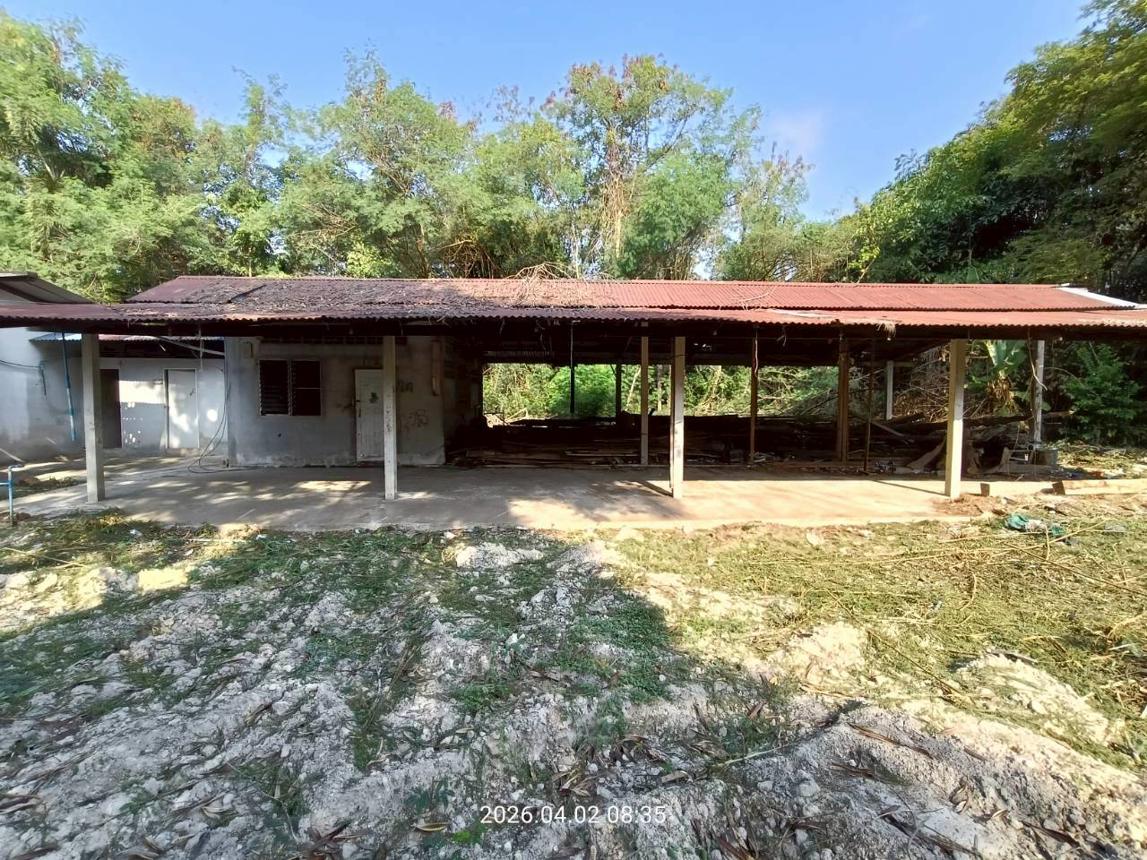 รูป ฟาร์ม 6600 ตร.วา เมืองปราจีนบุรี ปราจีนบุรี 8.8M - รูปที่ 71/89