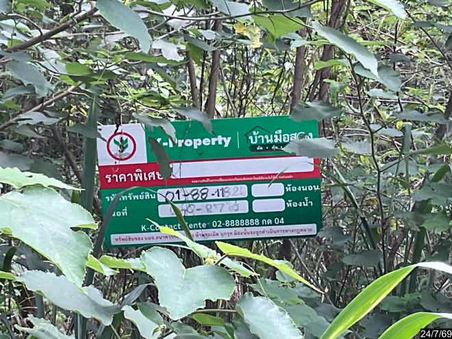 รูป ที่ดินว่างเปล่า 827 ตร.วา ภูริพิมาน ปากช่อง นครราชสีมา 3.5M - รูปที่ 8/19