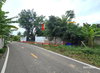 listing thumbnail image 16