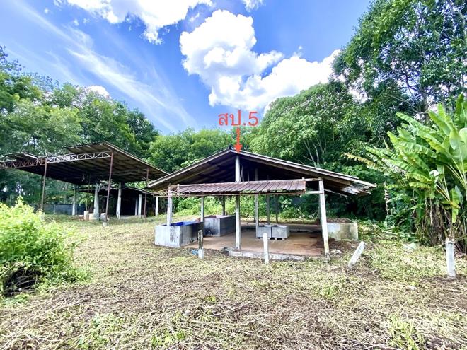 picture HOME 869 Sq.w. Na Yong Trang for 5.2M - 20/45