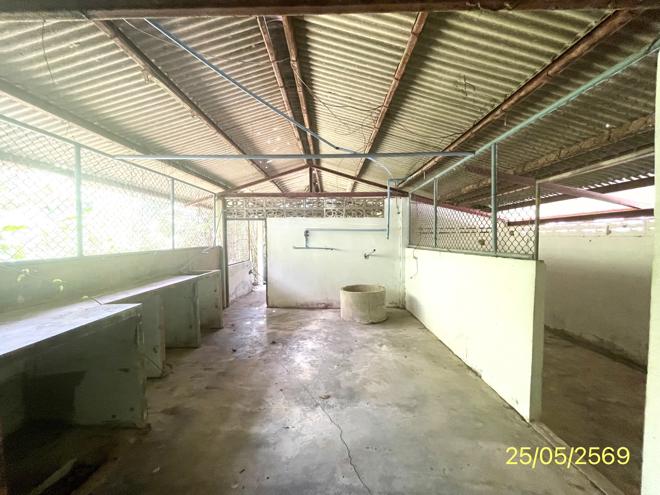 รูป บ้านเดี่ยว 372 ตร.วา เมืองพัทลุง พัทลุง 4.5M - รูปที่ 11/55