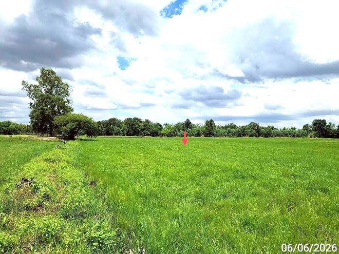 picture LAND 1235 Sq.w. Kaset Wisai Roi Et for 1.3M - 5/17
