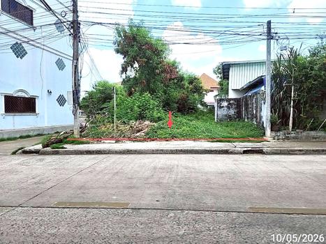 picture LAND 286.4 Sq.w. Muang Roi Et Roi Et for 9.3M - 12/15