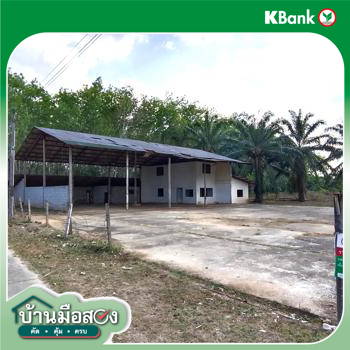 picture FACTORY 1620.3 Sq.w. Huai Yot Trang for 4.8M - 33/35