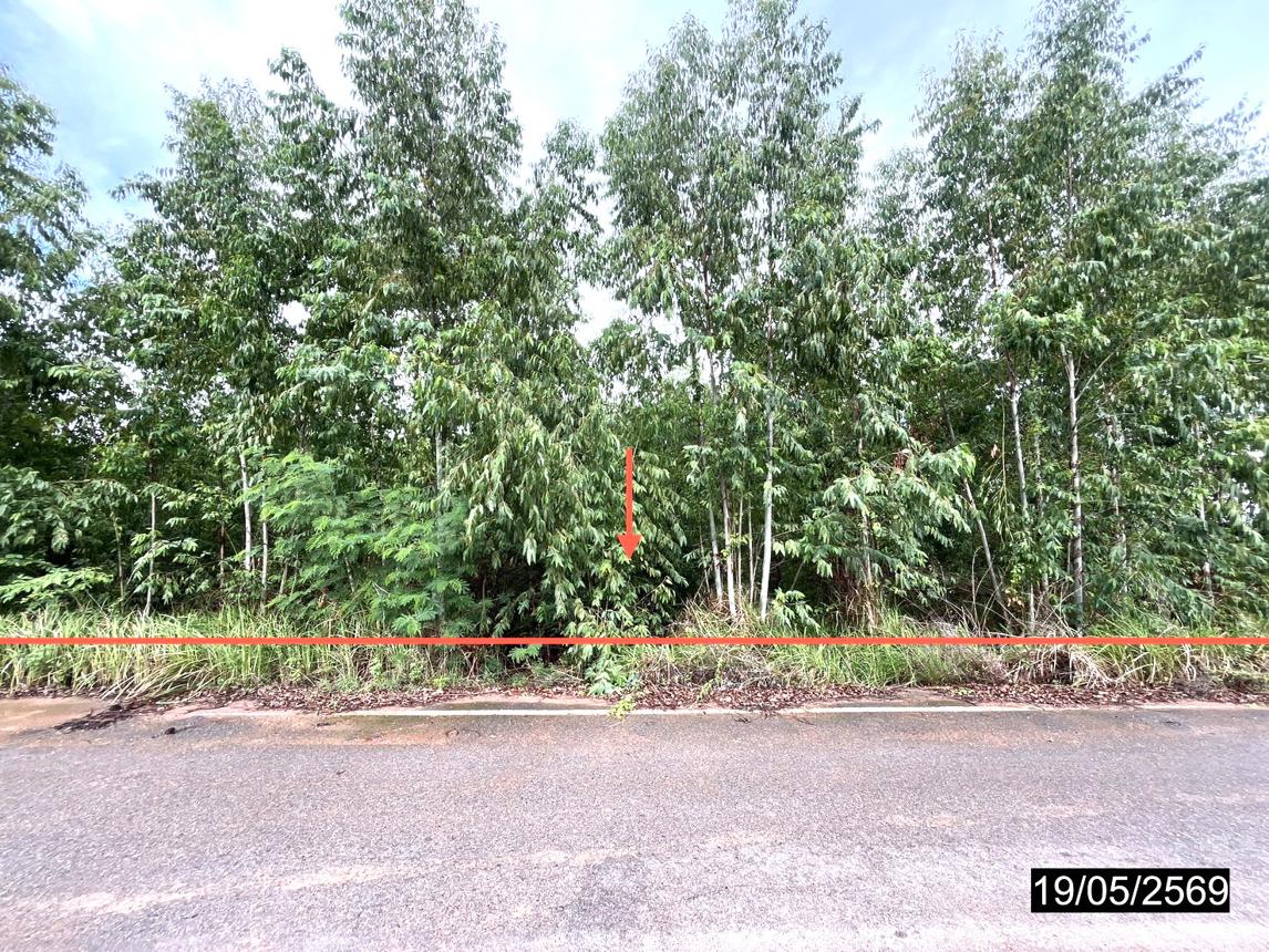 picture LAND 2478 Sq.w. Muang Kalasin Kalasin for 992,000 - 8/17