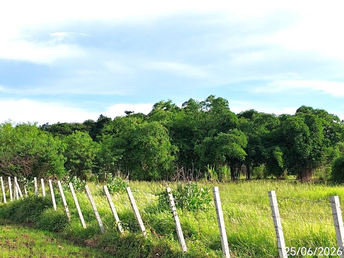 picture LAND 2176.6 Sq.w. Aranyaprathet Srakaeo for 6.1M - 15/19