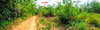 listing thumbnail image 17
